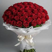 Букет 101 Красная роза Блэк Мэджик в Ровеньках