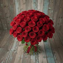 Букет 55 Красных роз Фридом #REPLACE_PRED# Ровеньках