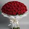 Букет 101 Красная роза Блэк Мэджик в Ровеньках