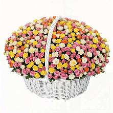 Премиум букет из: Розы #REPLACE_PRED# Ровеньках