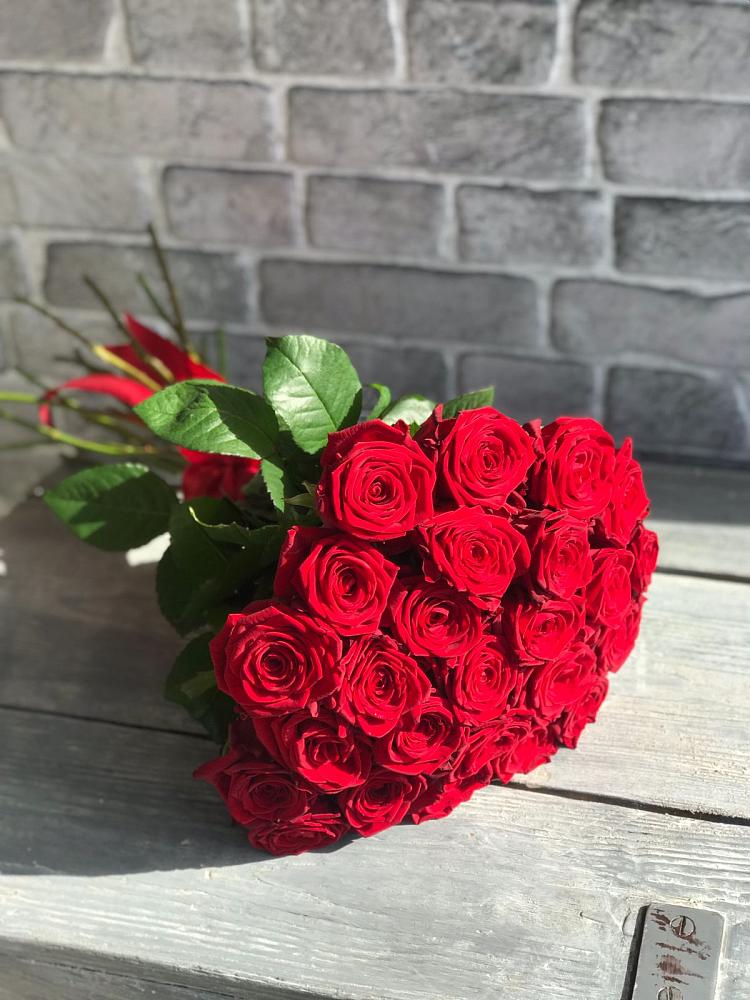 Букет Красные розы Фридом в Ровеньках