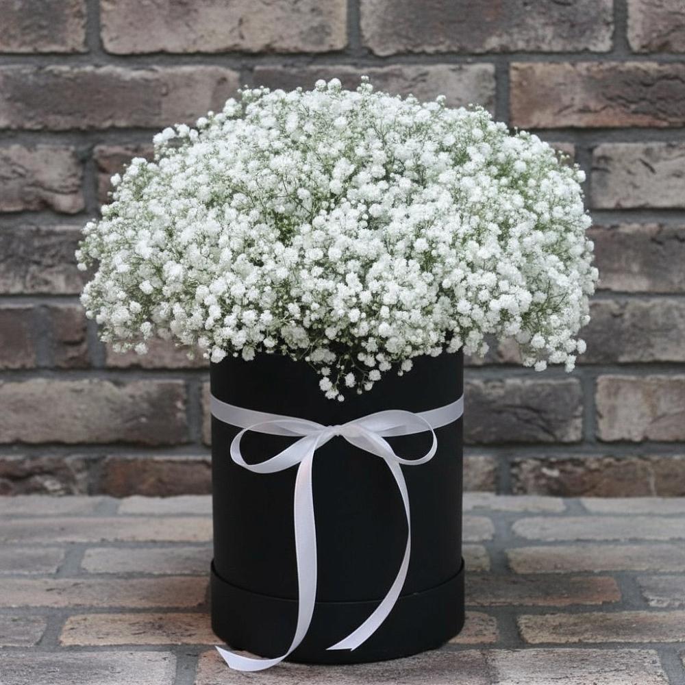 Цветочная композиция из Гипсофила в шляпной коробке в Ровеньках