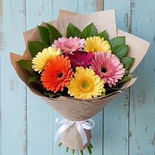 Букет цветов из:  Герберы в Ровеньках