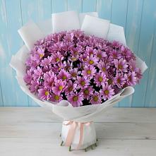 Букет цветов из:  Хризантемы в Ровеньках
