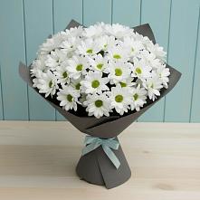 Букет цветов из:  Хризантемы в Ровеньках