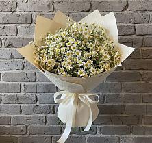 Букет цветов из:  Ромашки в Ровеньках