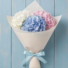 Букет цветов из:  Гортензия в Ровеньках