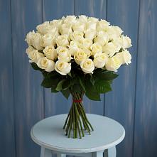 Букет 51 Белая роза Эдлесс Лав #REPLACE_PRED# Ровеньках