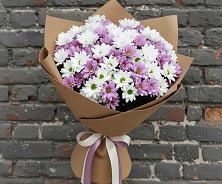 Букет цветов из:  Хризантемы в Ровеньках