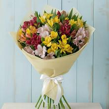 Букет цветов из:  Альстромерии в Ровеньках