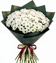 Букет цветов из:  Хризантемы в Ровеньках