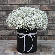 Цветочная композиция из Гипсофила в шляпной коробке в Ровеньках