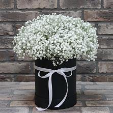 Цветочная композиция из Гипсофила в шляпной коробке в Ровеньках