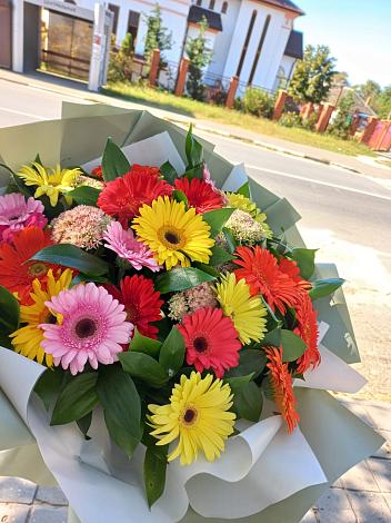 Букет цветов из: Герберы в Ровеньках