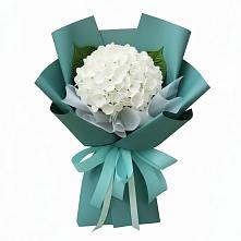 Букет цветов из:  Гортензия в Ровеньках